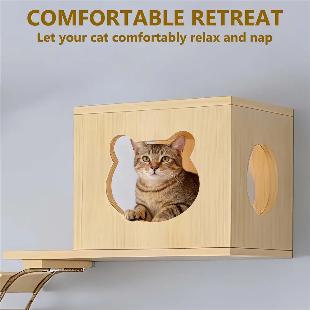 Pont mural plateforme jeu chat – Parcours mural, bois naturel