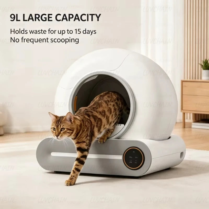 Bac litière électrique autonettoyant 65L Wi-Fi – App mobile