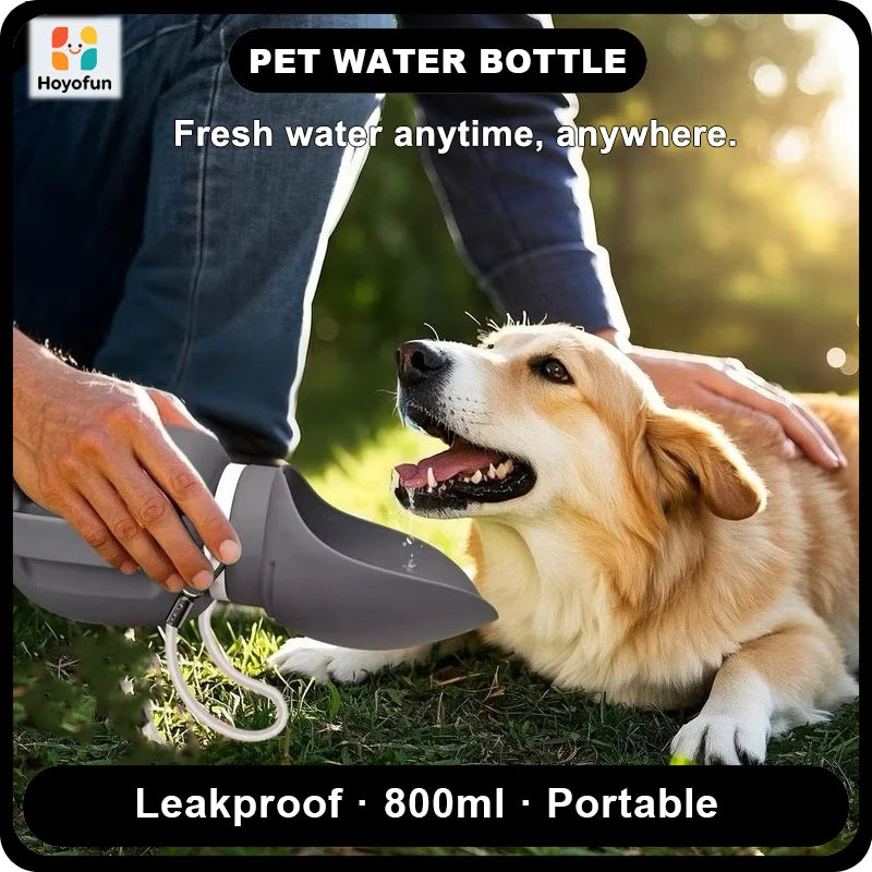 Bouteille eau portable chien 800ml – Distributeur intégré, sans BPA