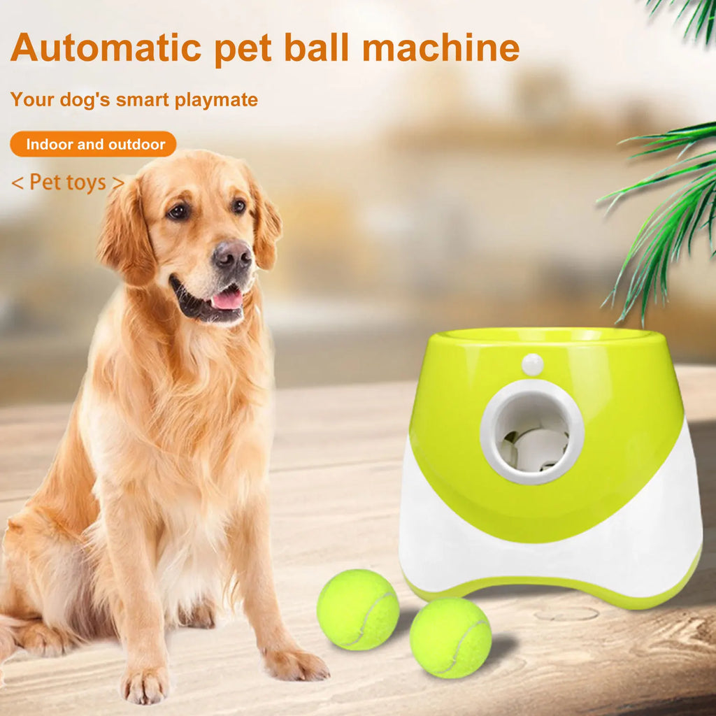 Lance-balles automatique rechargeable chien – Jeu interactif
