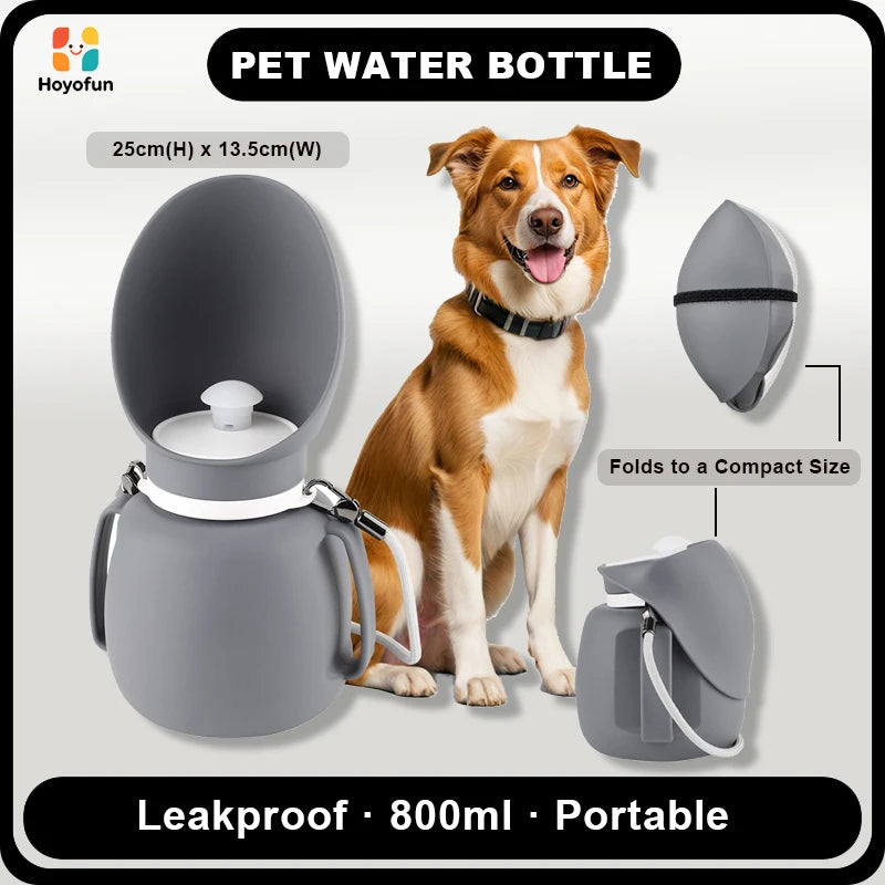 Bouteille eau portable chien 800ml – Distributeur intégré, sans BPA