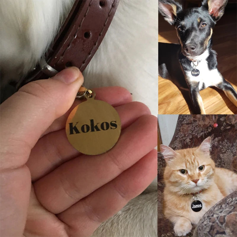 Collier personnalisé chien chat avec médaille gravée – Réglable