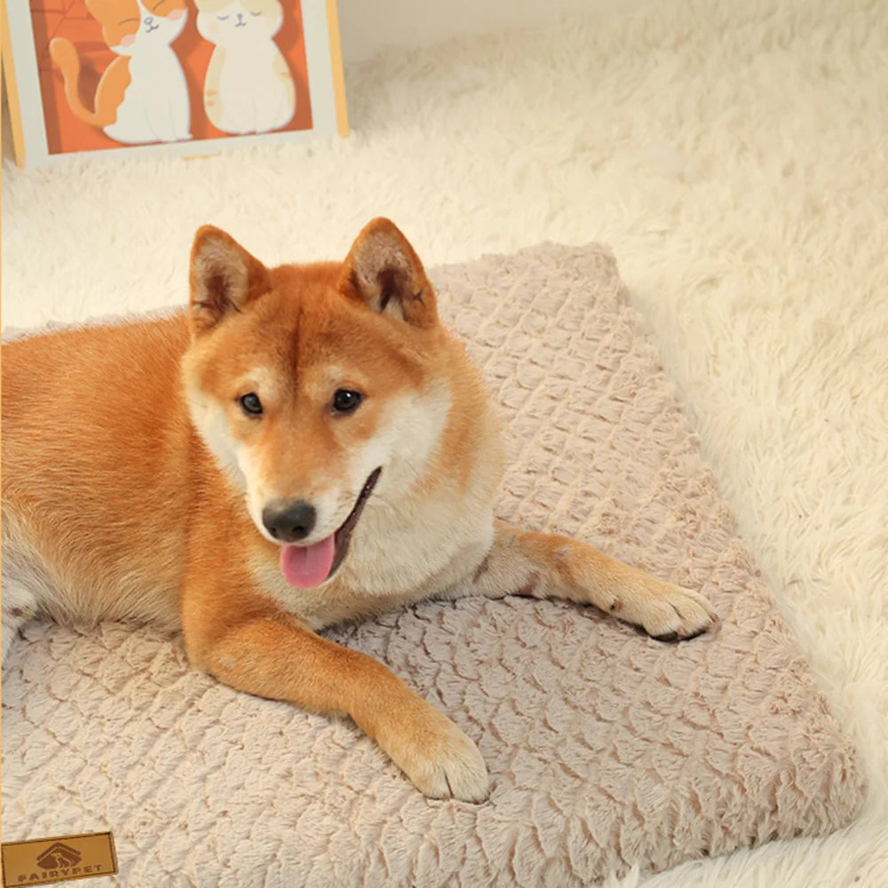 Lit orthopédique mousse 3D impérméable chien – Grande taille