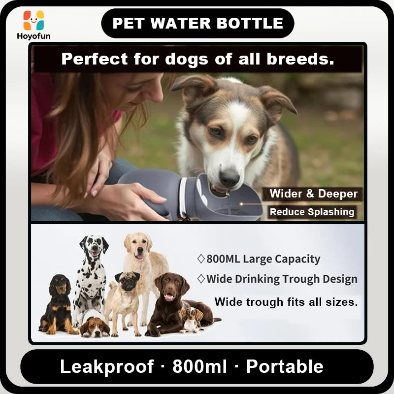 Bouteille eau portable chien 800ml – Distributeur intégré, sans BPA